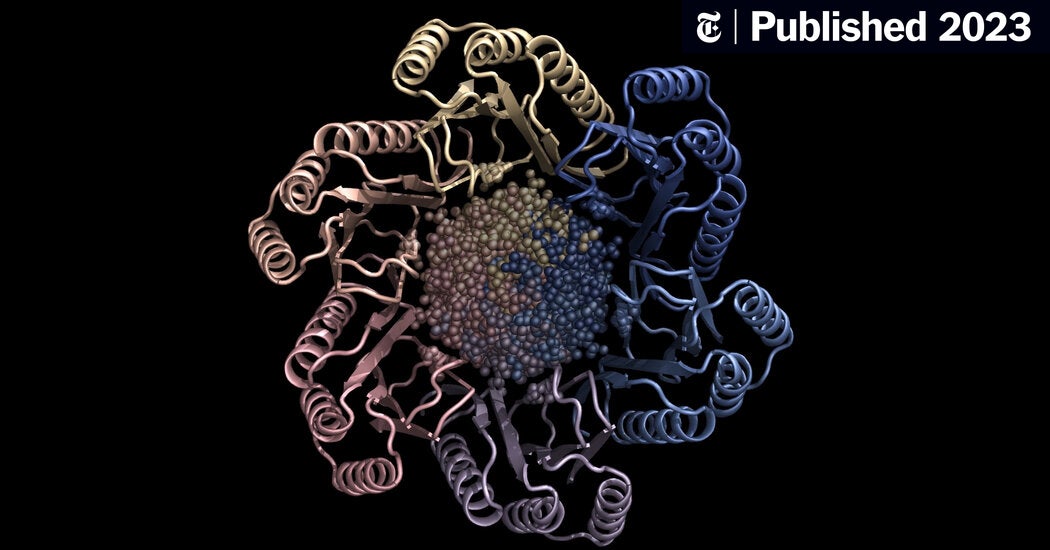 A.I. Turns Its Artistry to Creating New Human Proteins (Published 2023)