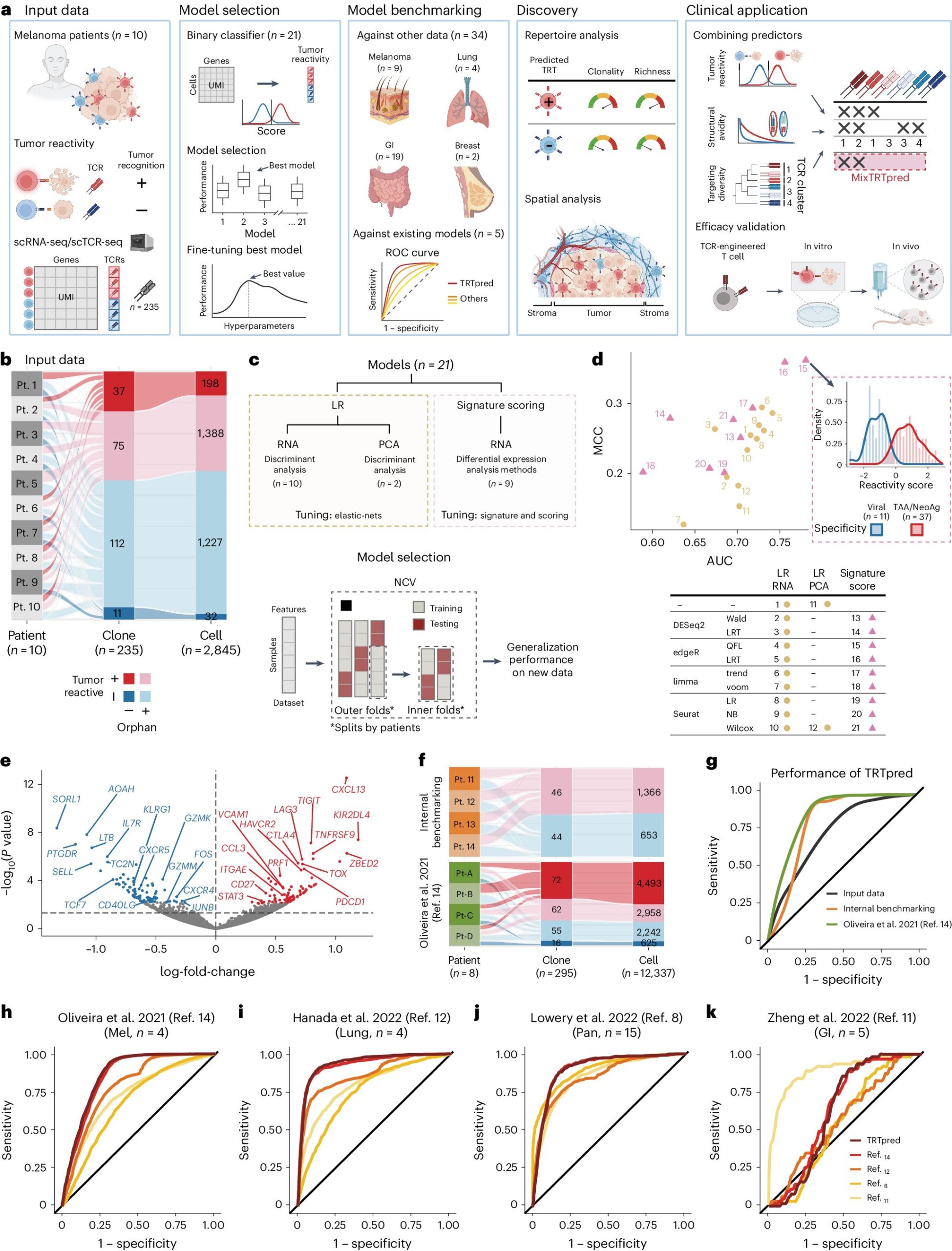 AI predicts tumor-killing cells with high accuracy, study shows