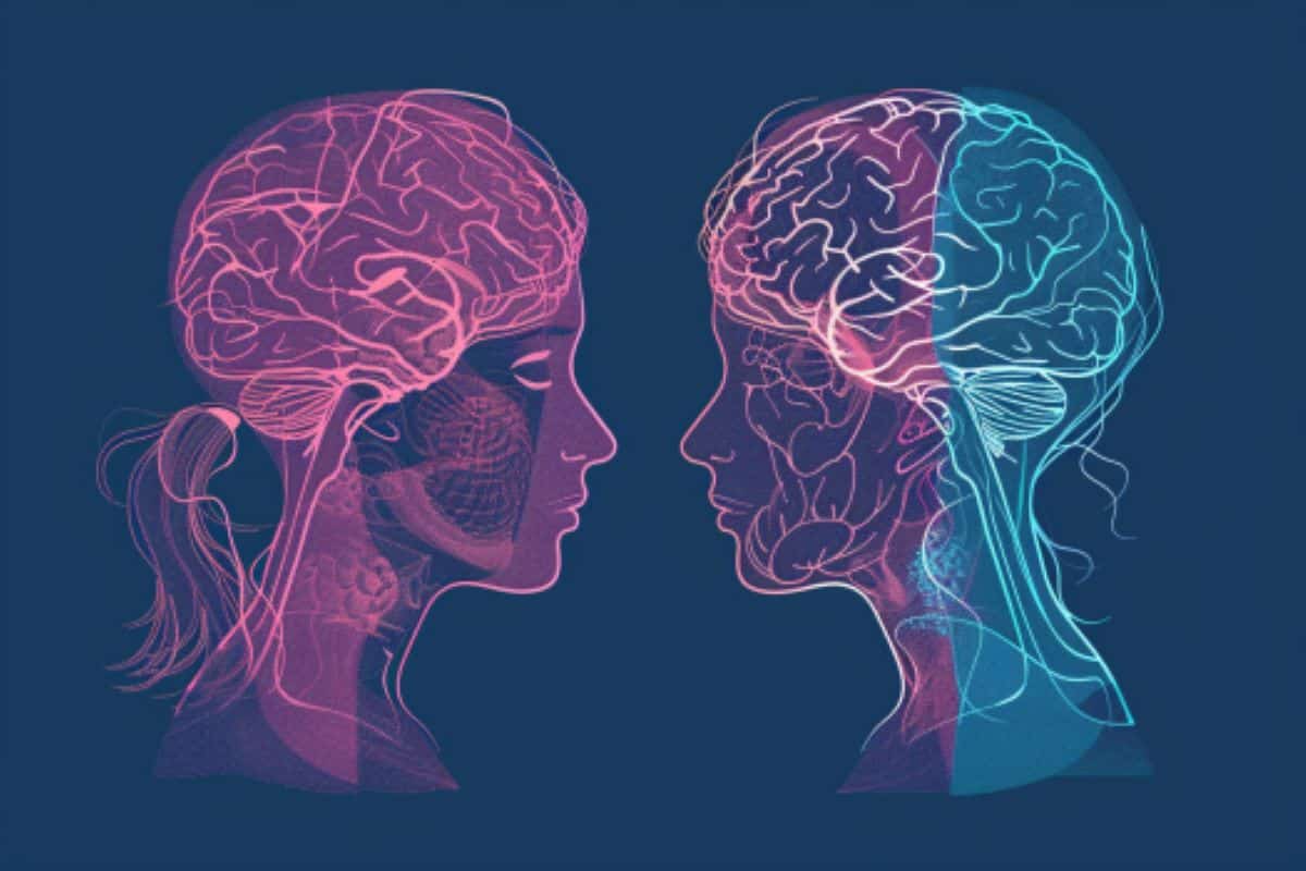 AI Uncovers Hidden Differences in Male and Female Brain Structures - Neuroscience News