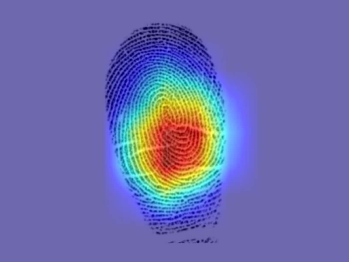 No, Your Fingerprints Aren't That Unique