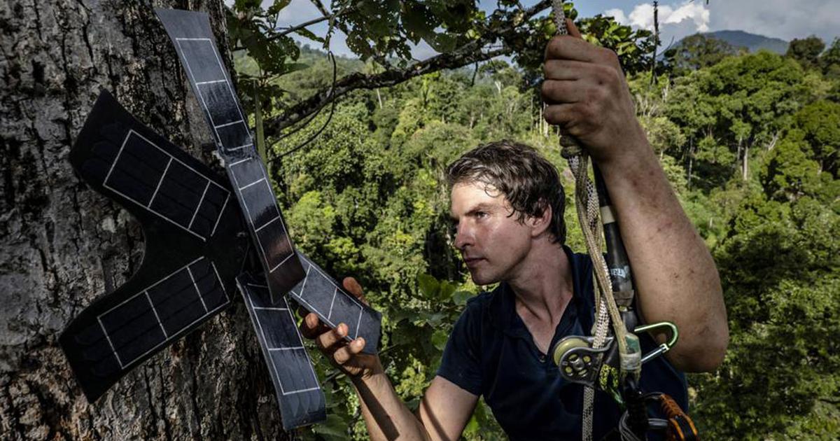 Will artificial intelligence save the planet?