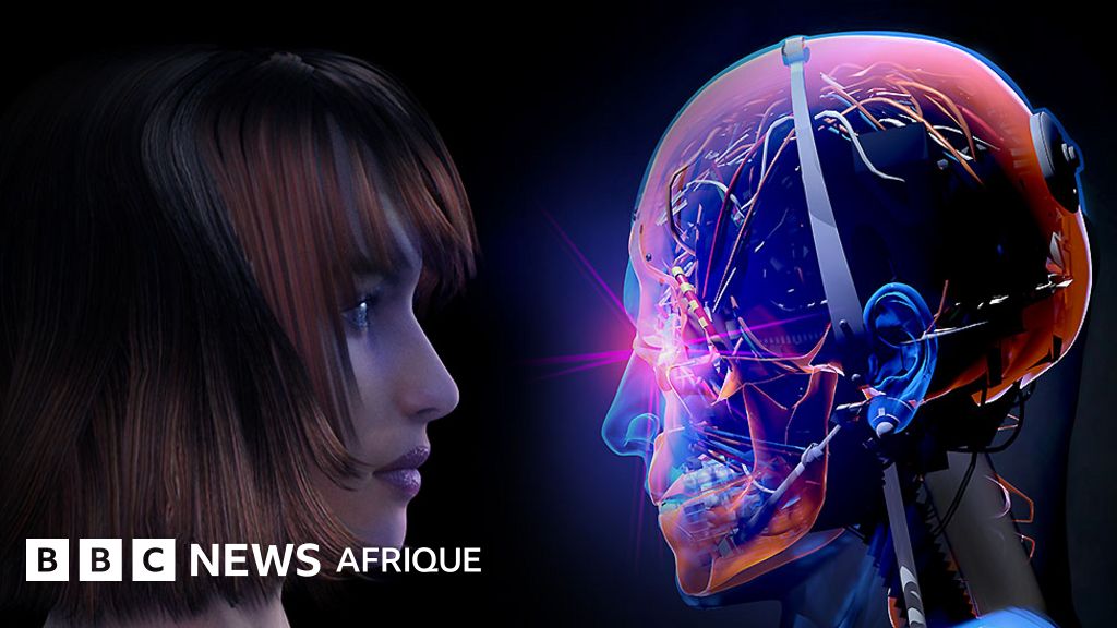 Artificial Intelligence: Why We Could All Have a Digital Twin Within a Decade - BBC News Africa