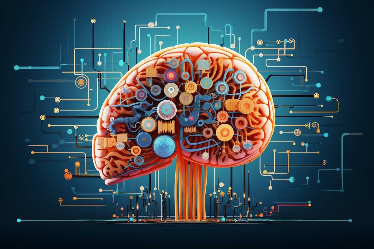 Outsmarting AI: The Brain's Broad, Shallow Learning Redefines Efficiency - Neuroscience News