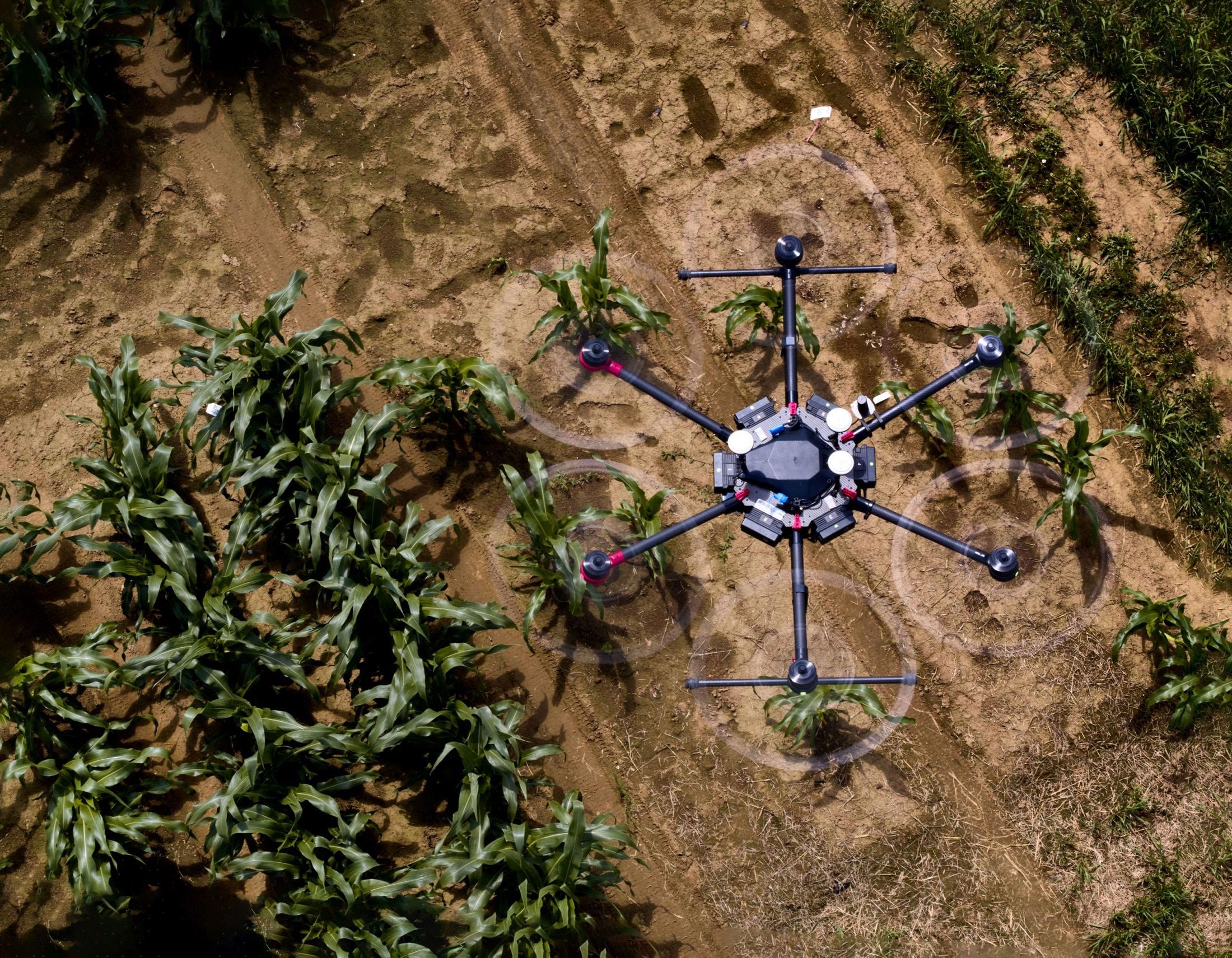 AI in the Fields: Revolutionizing Agriculture with Smart Technology