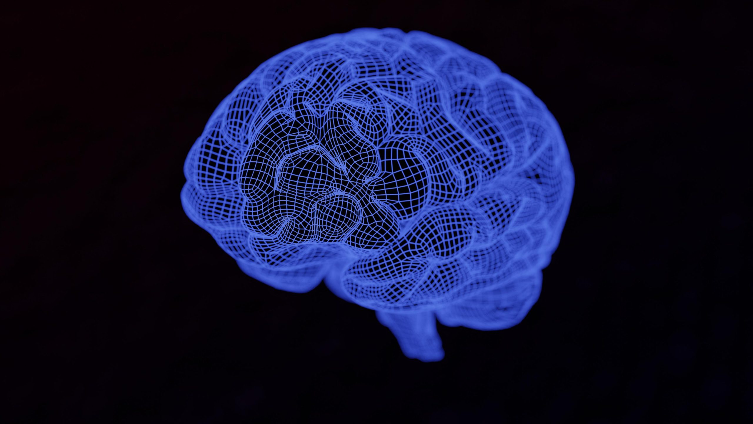 Artificial Intelligence Is a 'Black Box.' Maybe Not for Much Longer