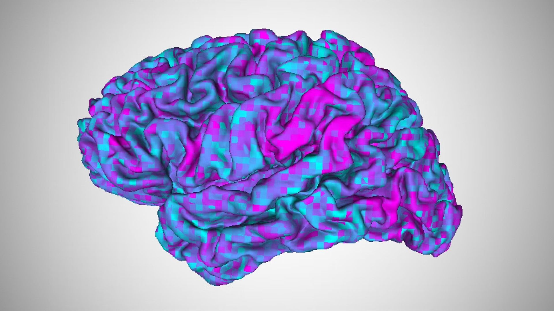 An AI "brain decoder" can read a person's thoughts with just a quick brain scan and almost no training