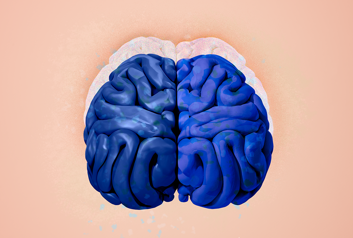 Does the solution to creating safe artificial intelligence lie in the brain?