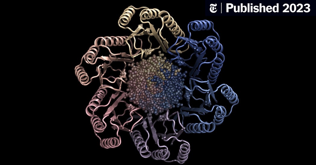 A.I. Turns Its Creative Skills to Creating New Human Proteins (Published 2023)