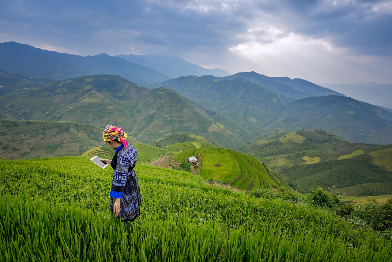 Artificial Intelligence and the Environment: How to Take Care of the Planet